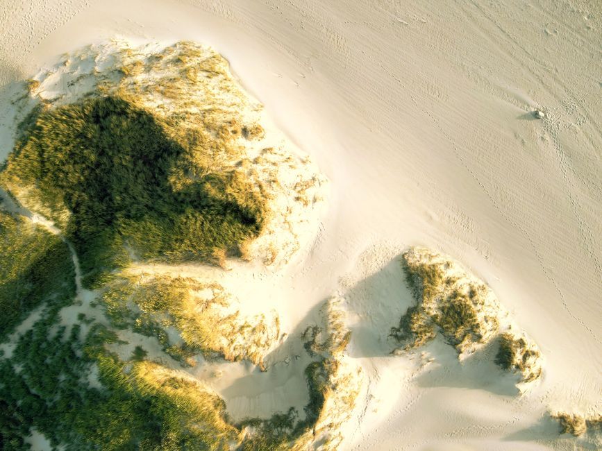 Gens du voyage Plouharnel : impact sur vos vacances 2026