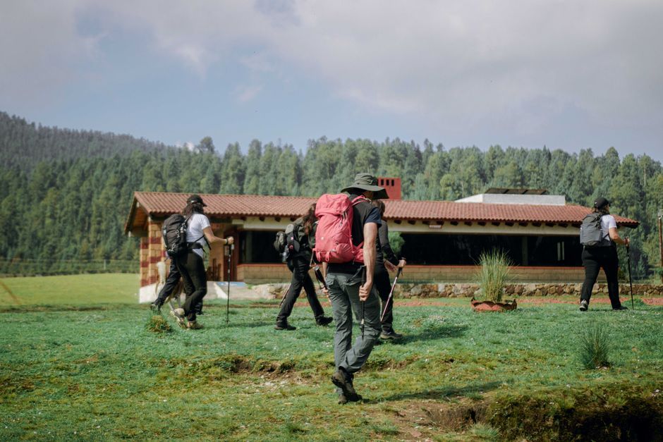Voyager en Touraine à pied : itinéraires et astuces pour randonneurs
